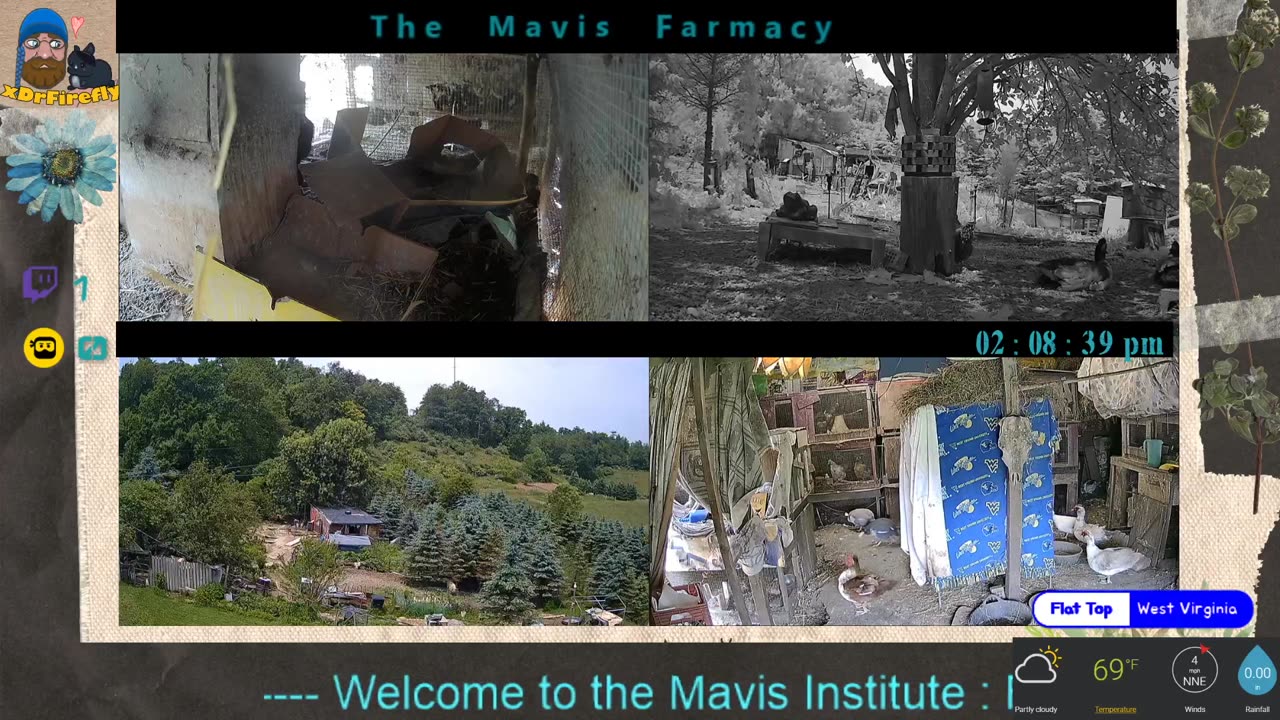 Life on Doc's Farm : Mavis Institute 🎵 🐓🦆🐝🐇🐖: Farmcore