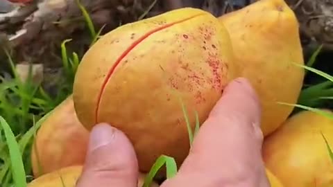 What is this fruit called?