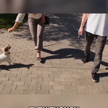 Can Dogs See Colors? Debunking the Myth and Revealing the Truth