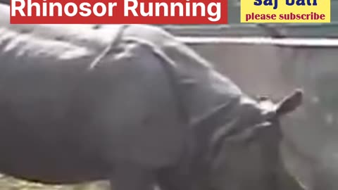 Rhinosor Running