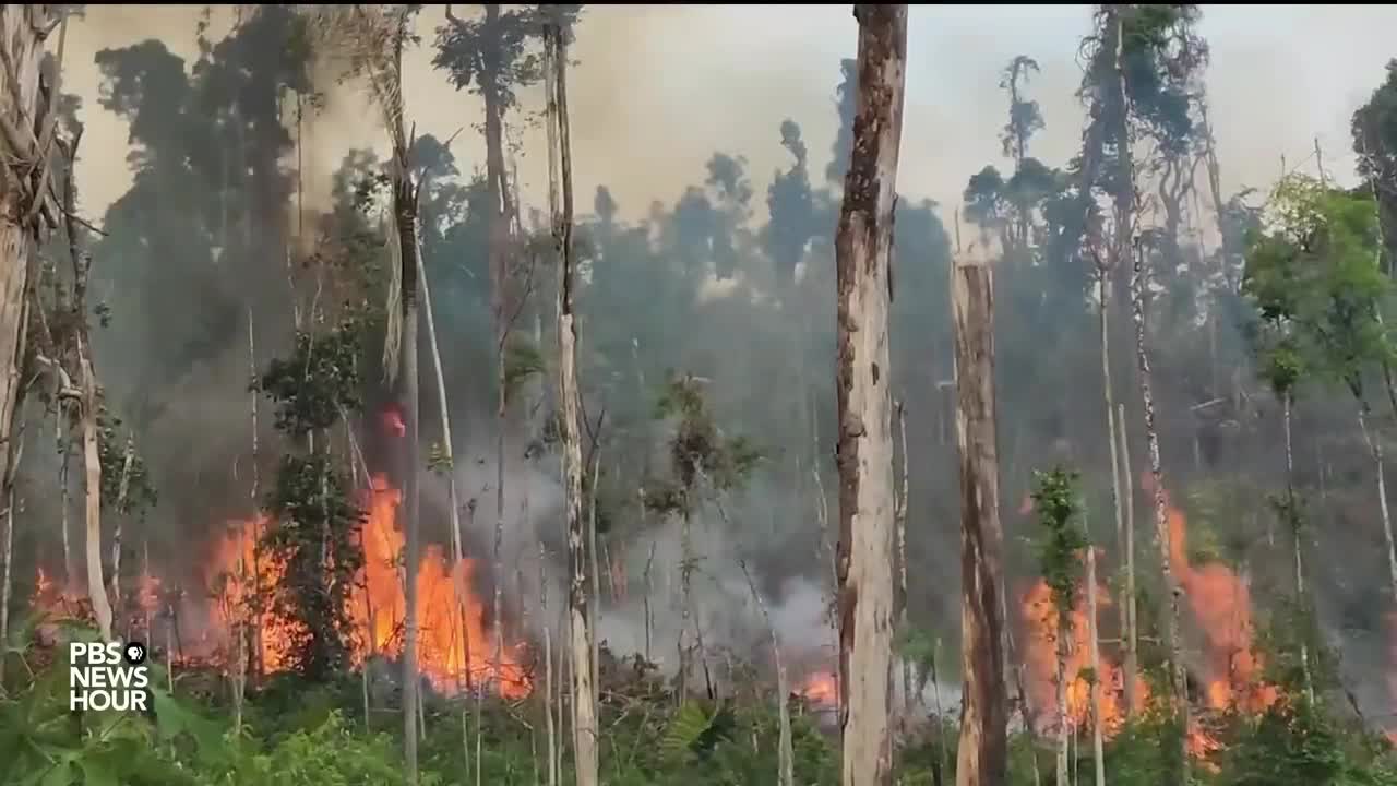 Future of Amazon rainforest at stake in Brazil's presidential election