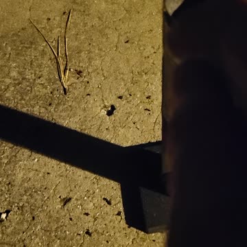 ANOTHER DEMOCRAT EATS IT!!! MMMM