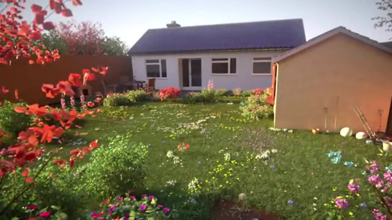 Beautiful flowers.
