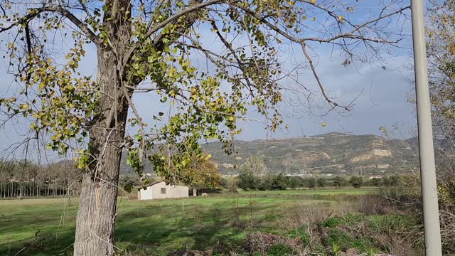 GO AND DRIVE THE WORLD