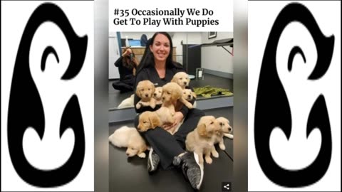 Hilarious And Wholesome Moments That Vets Have Experienced At Work