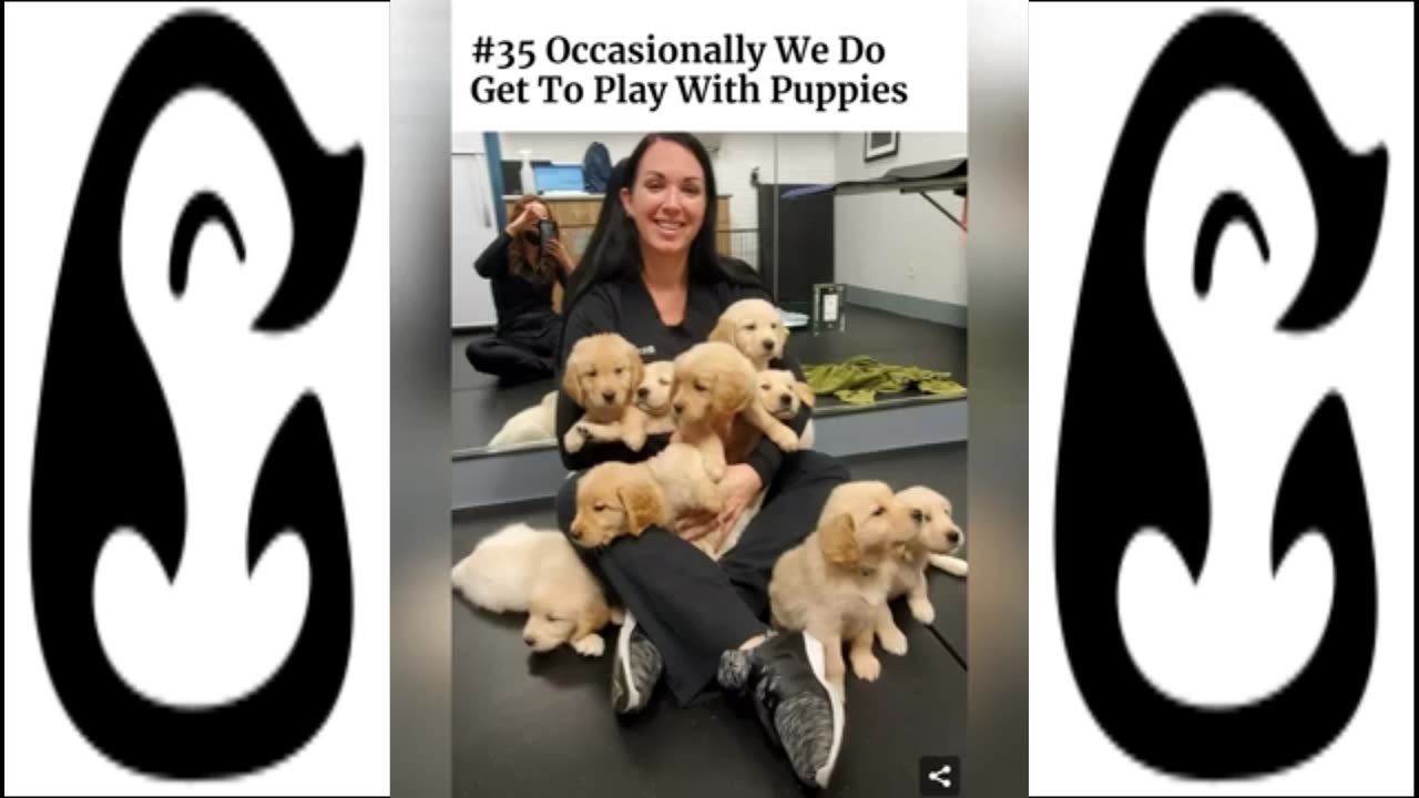 Hilarious And Wholesome Moments That Vets Have Experienced At Work