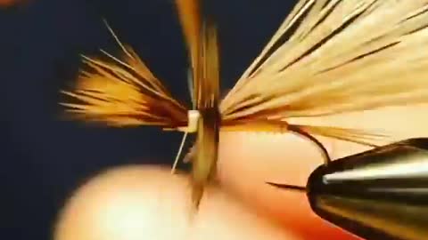 This is a beautiful and charming water-dwelling species