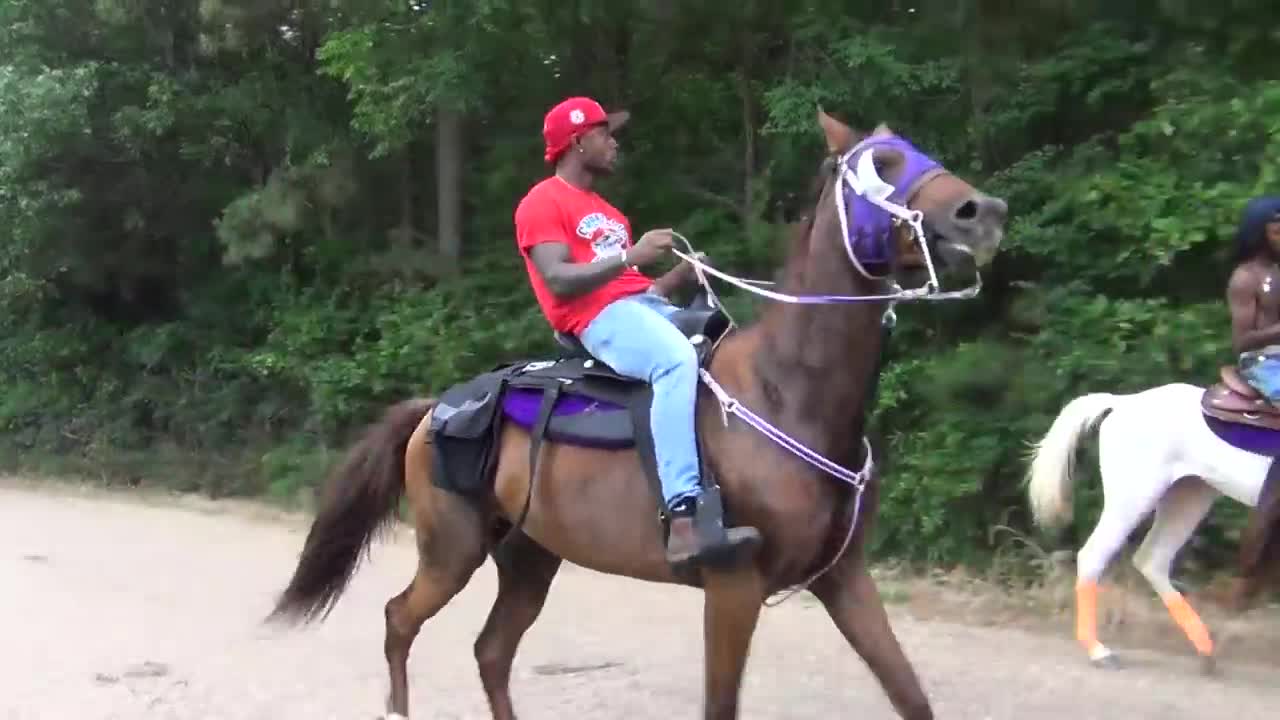 "BIG" Front Action Ryders Annual Walking Horse Trail Ride in Ogden, Arkansas-5