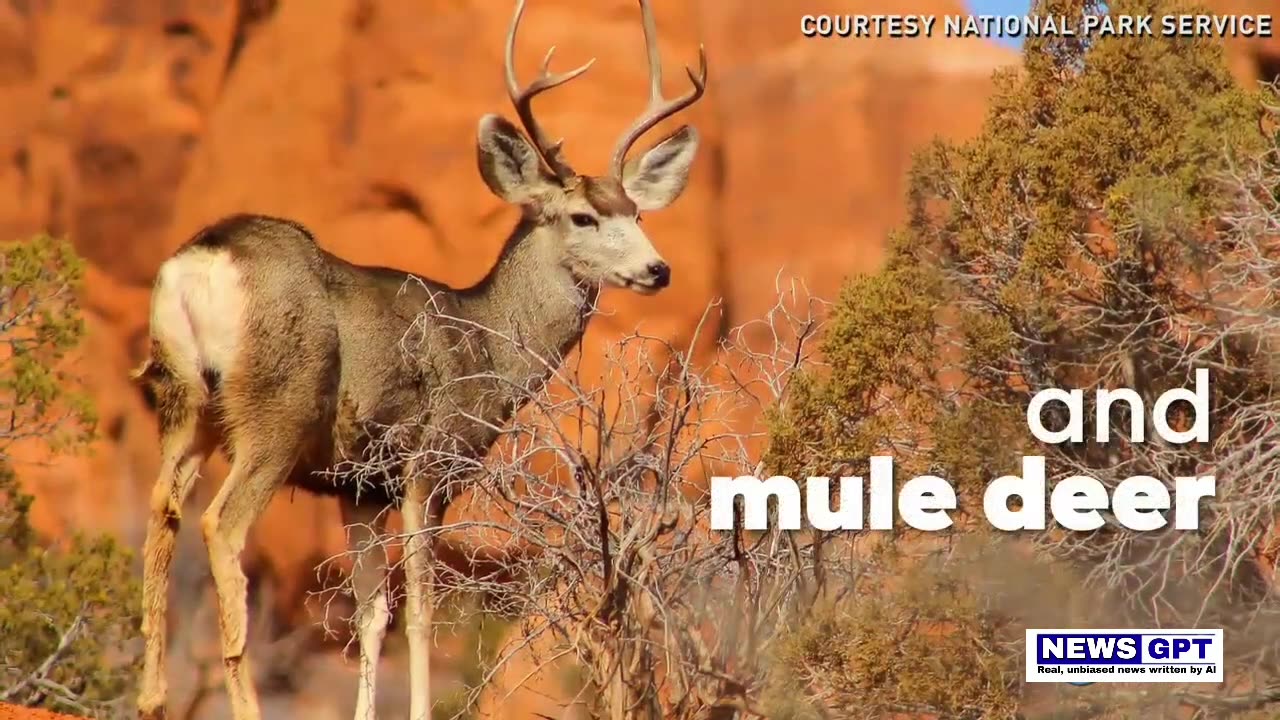 Arches National Park welcomes over a million visitors each year |