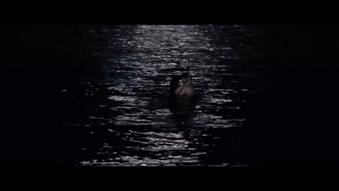 The Twilight Saga: Breaking Dawn Part 1 - The Honeymoon: Bella