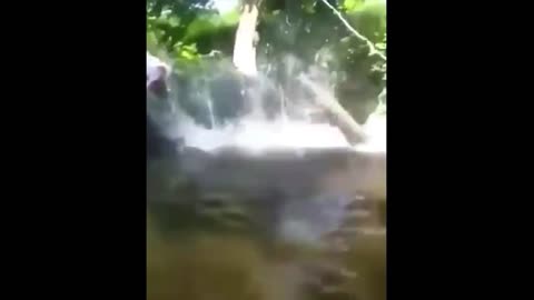 The woman broke a tree and fell into the water