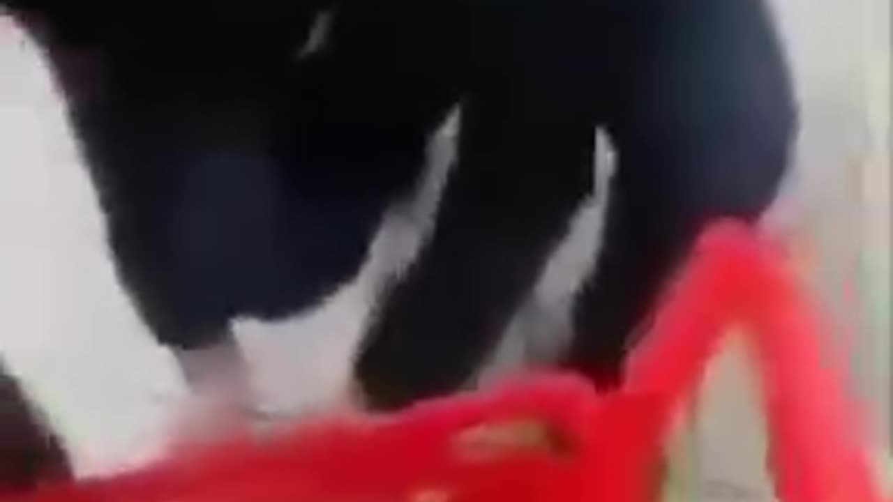 trują Polaków w Marketach