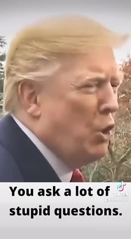 The Many Faces Of Trump😎The Boss Has Spoken😽