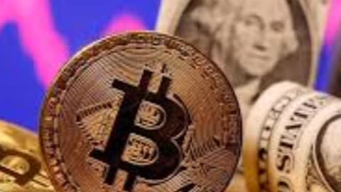 crypto winter," with high-profile companies collapsing across