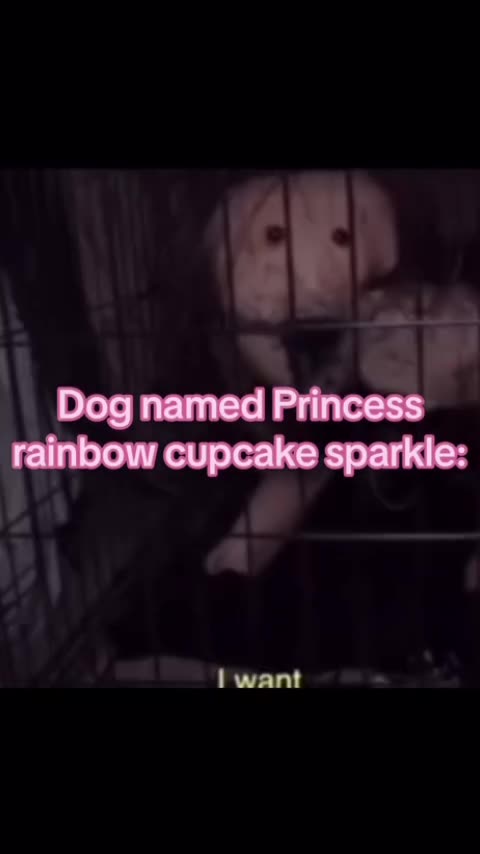 oh no princess rainbow sparklebottom just ate a kid