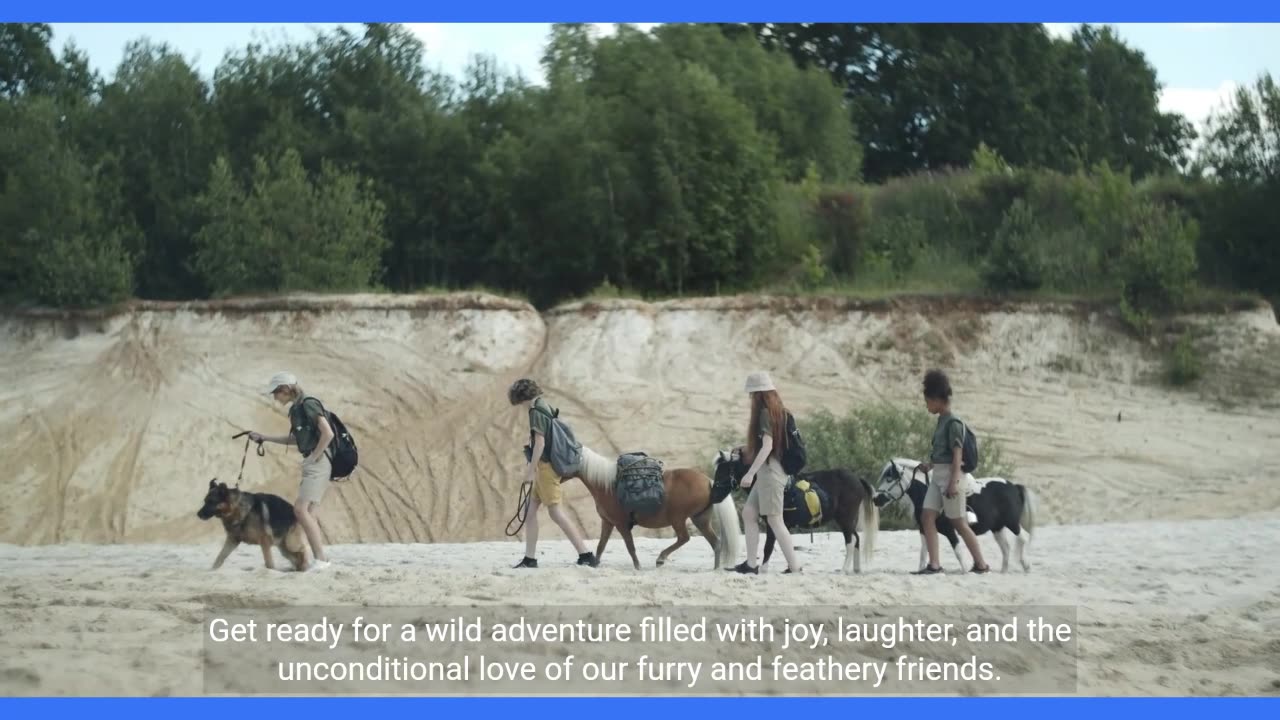 Funny Pets Compilation - Hilarious Animal Moments