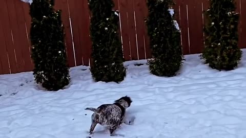 I know you're over there mocking me