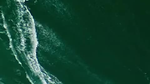 EPIC BIG WAVE SURFERS!!