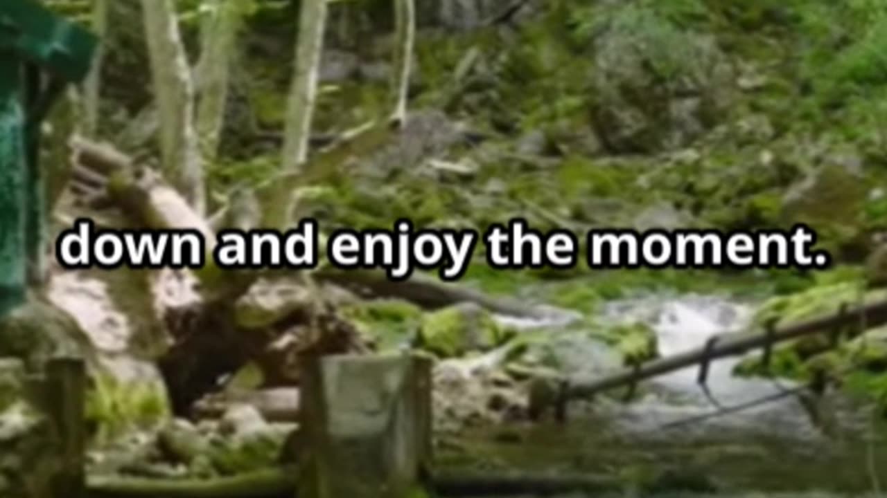 Nature Relaxing: A 2-Minute Explainer for Peaceful Moments"