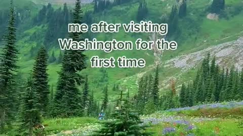 me after visiting Washington for the first time