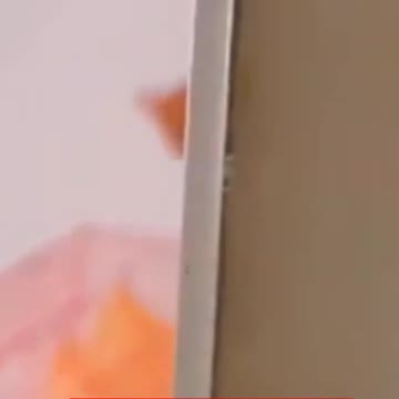 Watch Still End 😂😂 #shorts #cats #funny