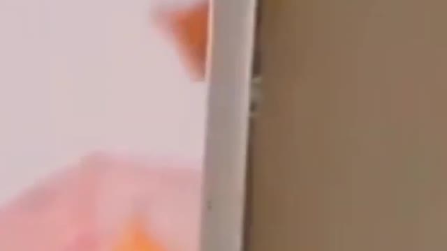 Watch Still End 😂😂 #shorts #cats #funny