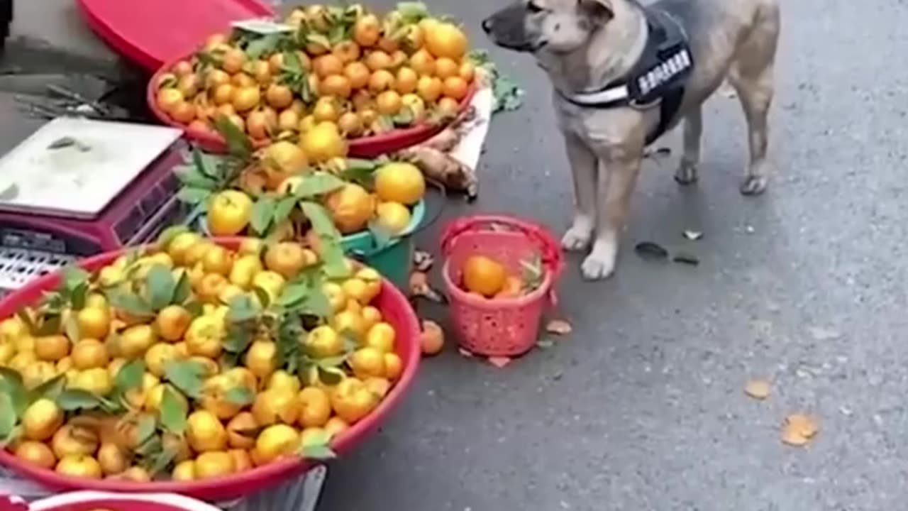 My assistant