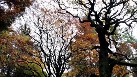 Beecraigs