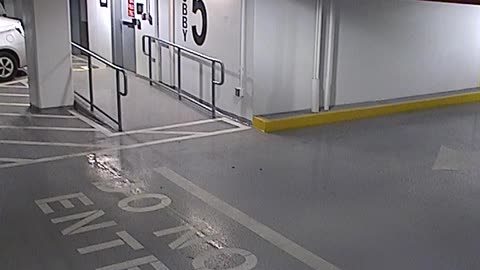 6080RHOBG3G305ANorthLobbyEntry_2021-01-06_22h00min03s843ms.mp4