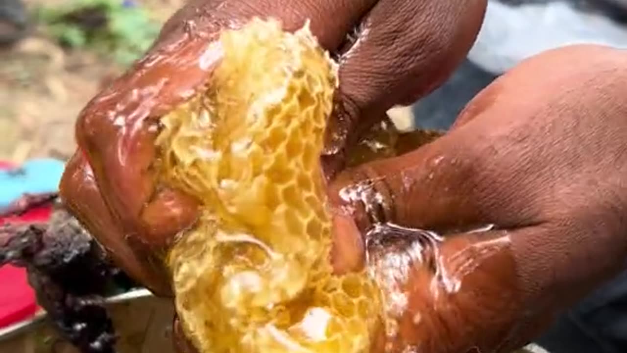 Honest I don't want the day I was going out to make