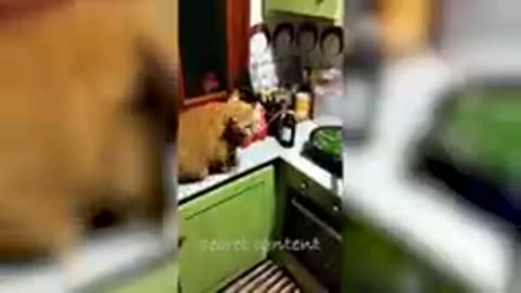 https://youtu.be/xnHOjiZq-ks
