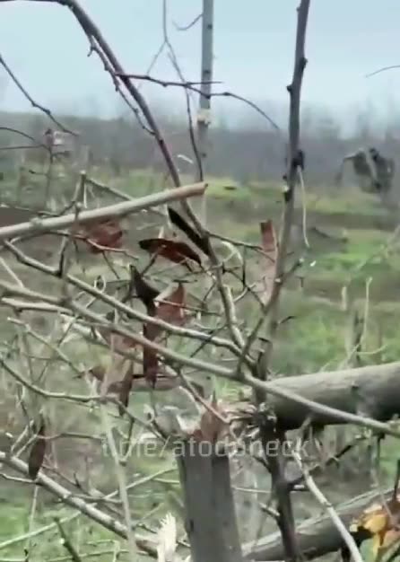 The Ukrainians are running from the front line, fleeing from our guys. Unsuccessfully