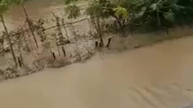 Typhoon flood waters Philippines