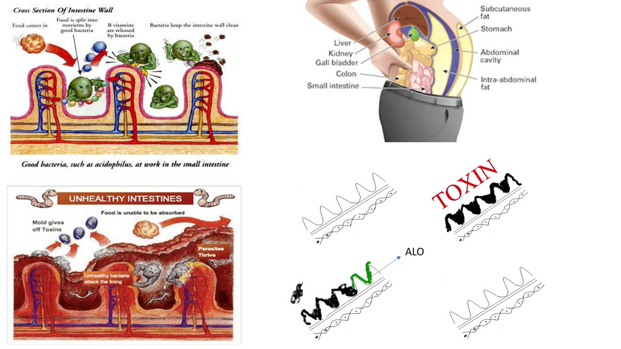 FLP Products Complete Training (Hindi)
