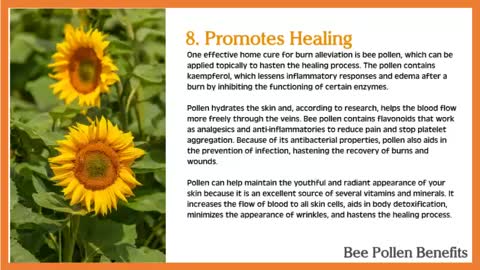 Bee Pollen Benefits