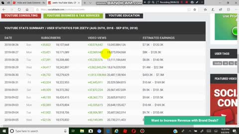 Is T-Series really botting views and subscribers