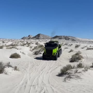 HET in the sand dunes the Turtle