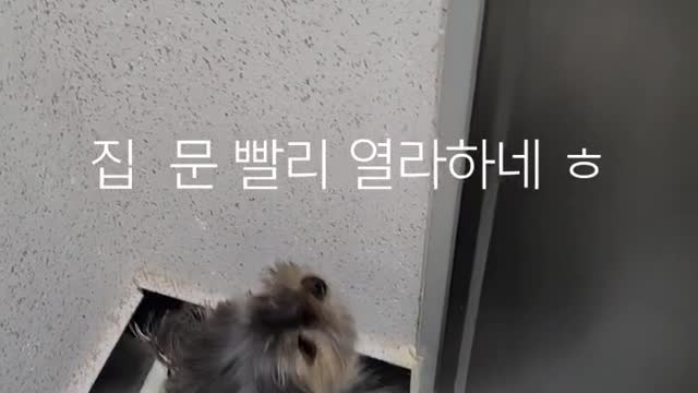 내가 귀여운가??