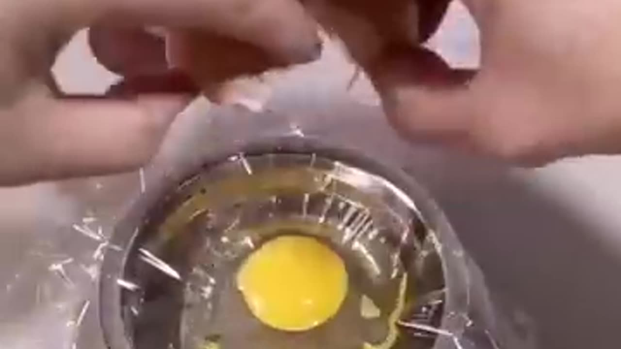 How A Chick Born From A Egg 🐣 - Interesting Video - 😱