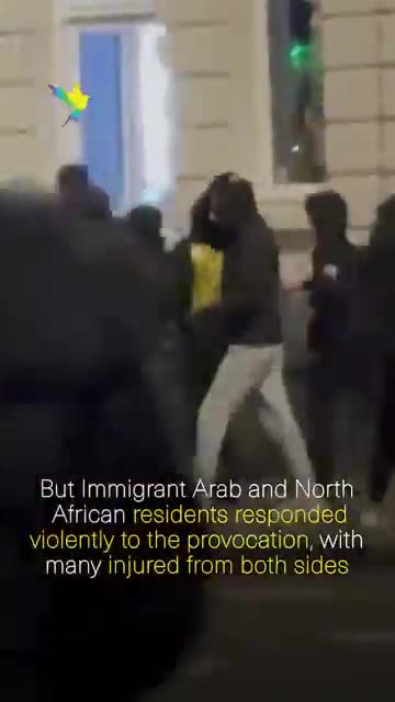 Israeli football hooligans cry foul as they instigate riots in Amsterdam