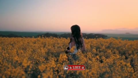 Relaxing Music | Sleeping, Meditation, Stress Relief | [1423] ⭐️