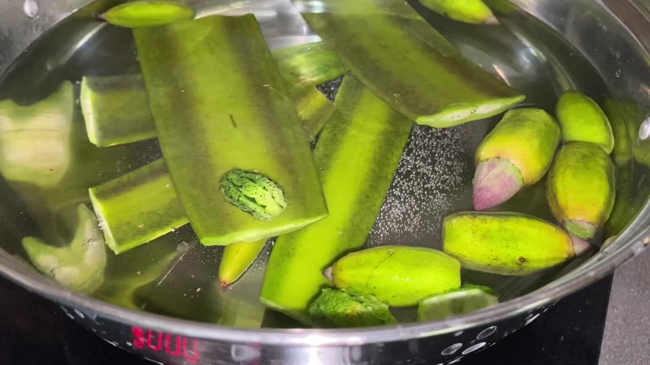 Picking and Eating the Indian Trumpet Flower Pod