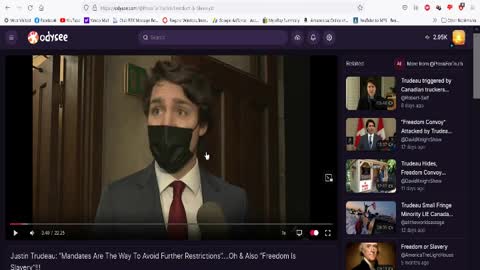 Trudeau needs to be hanged!