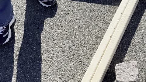 Part 2 ￼My petitions and actual Demonstration