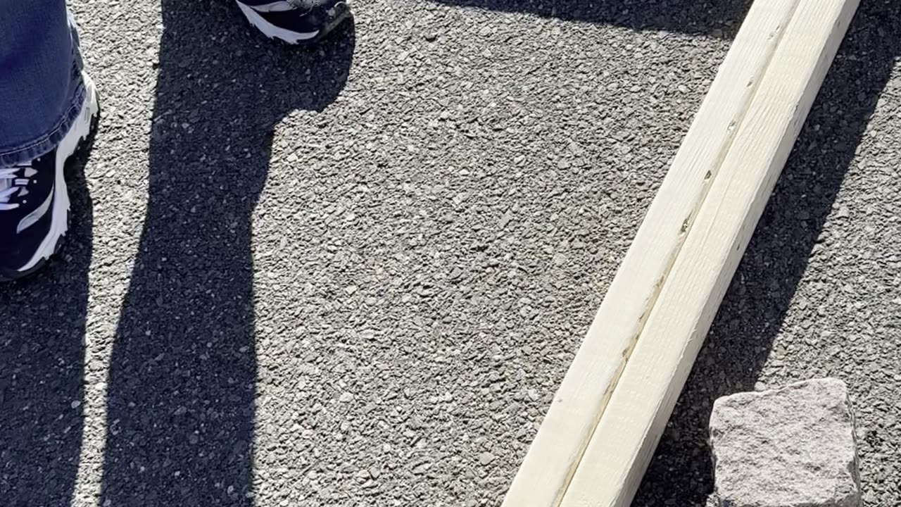 Part 2 ￼My petitions and actual Demonstration