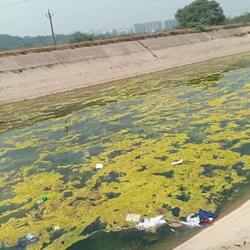 #viralchallenge #video #virals #vlog #viral #view #travel