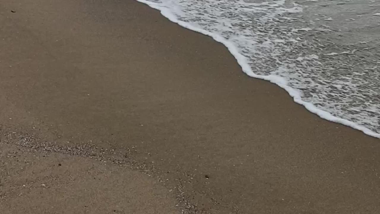 Beach walk