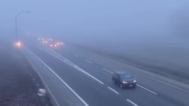 Thank You Truckers. Canada Trucker Protest. Amen