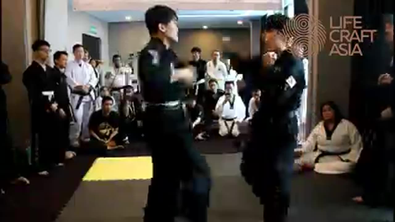 Hapkido