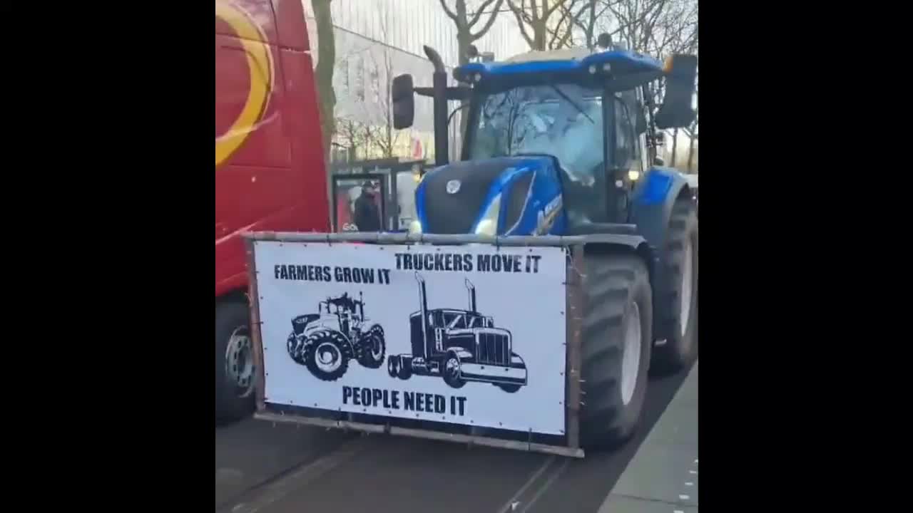 Protest Updates in the Hague, Netherlands Foreign News